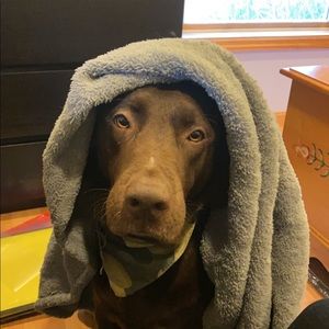 Meet your Posher, Allison